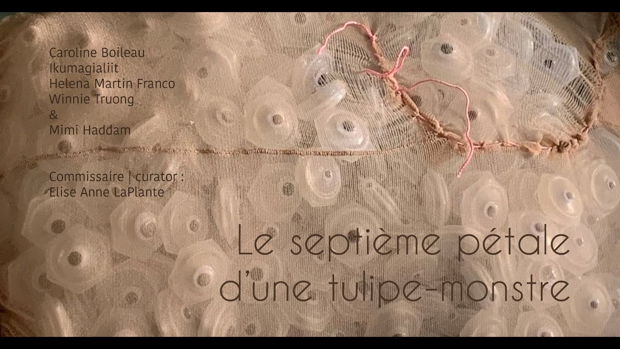 carton-banner-st-boniface